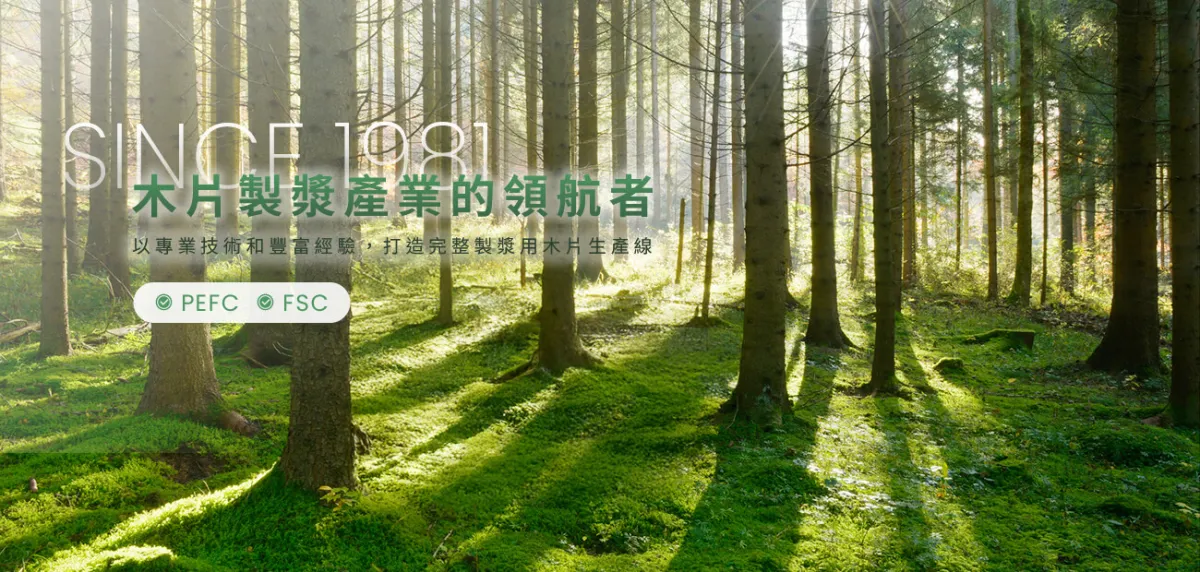 KPCWCL Website Screenshot